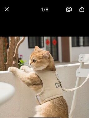 Khaki Cat Harness with Leash - Comfortable Secure Fit